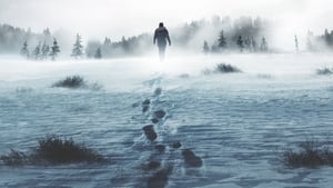 В изоляции